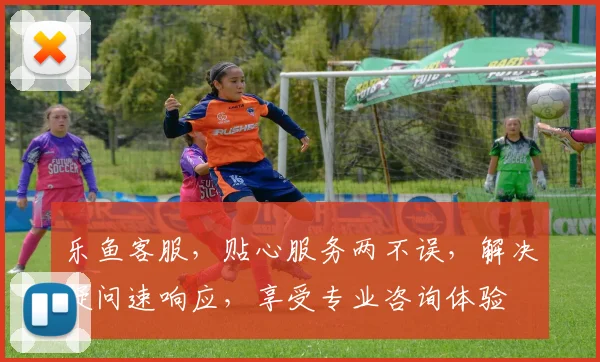 乐鱼客服，贴心服务两不误，解决疑问速响应，享受专业咨询体验
