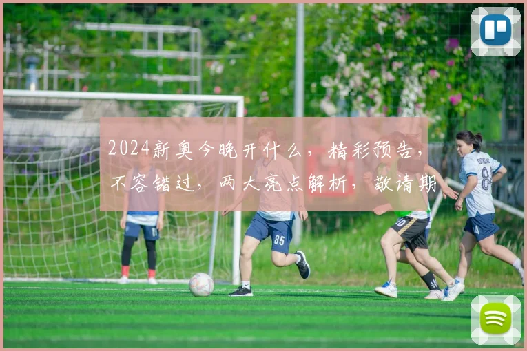 2024新奥今晚开什么，精彩预告，不容错过，两大亮点解析，敬请期待